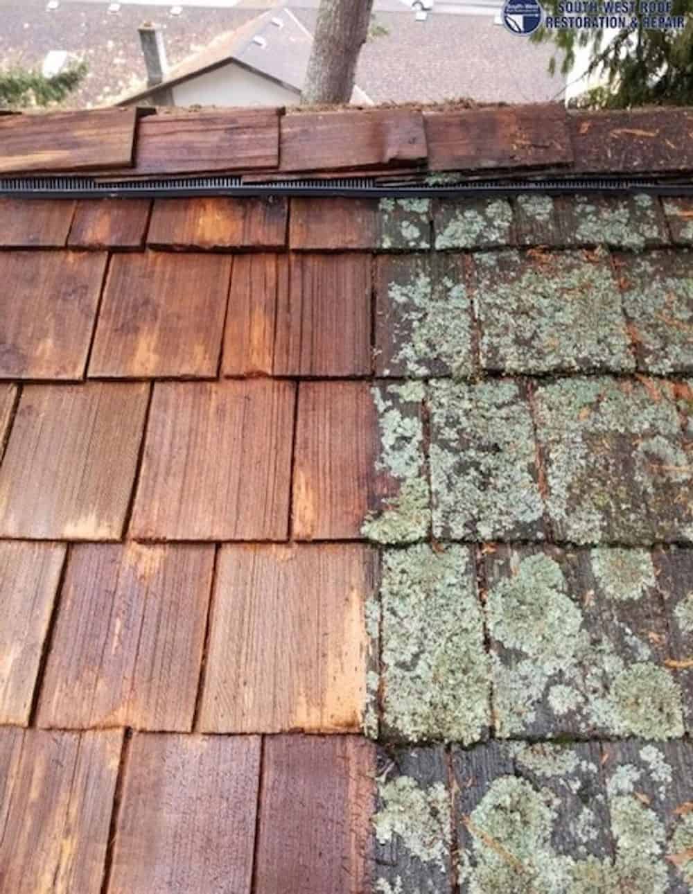 Moss Removal image