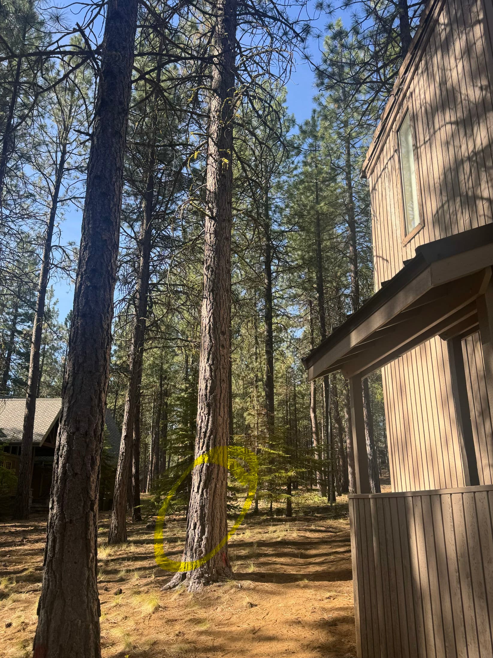 Gallery photos for Black Butte Ranch Home Gets Skylights, Roof Cleaning and More: Image #2