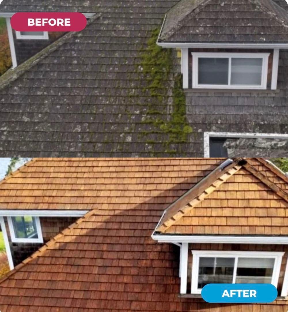 Roof cleaning transformation: before with moss and after with restored shingles.