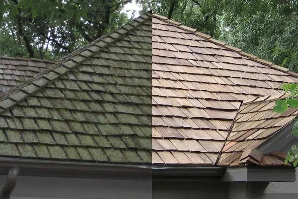 Before and after roof cleaning comparison showing mossy versus clean shingles.