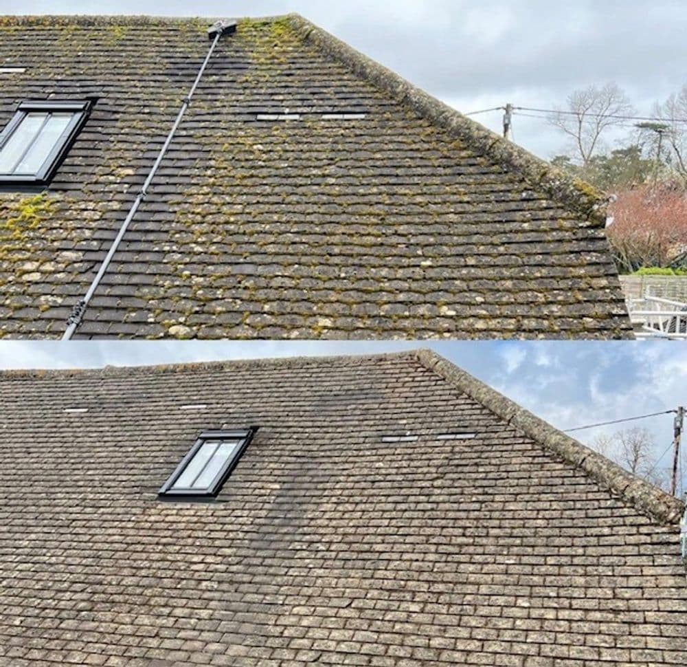 Before and after roof cleaning, showcasing improved shingles and reduced moss.