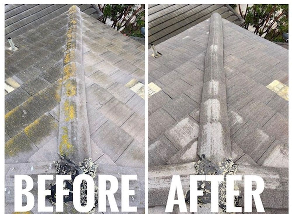 Roof cleaning transformation showing dramatic change from dirty to clean appearance.